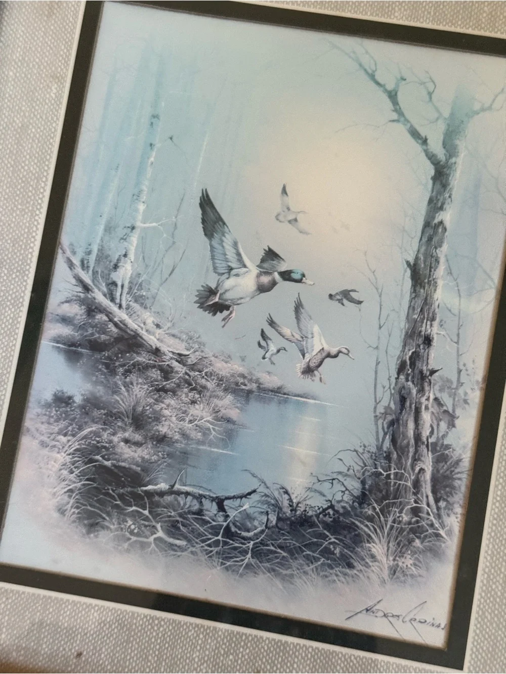 Vintage Framed Duck Hunting Print Signed Andrew Coina Woodland Waterfowl Art